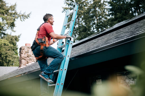 Best Roof Maintenance and Cleaning  in Oconomowoc, WI